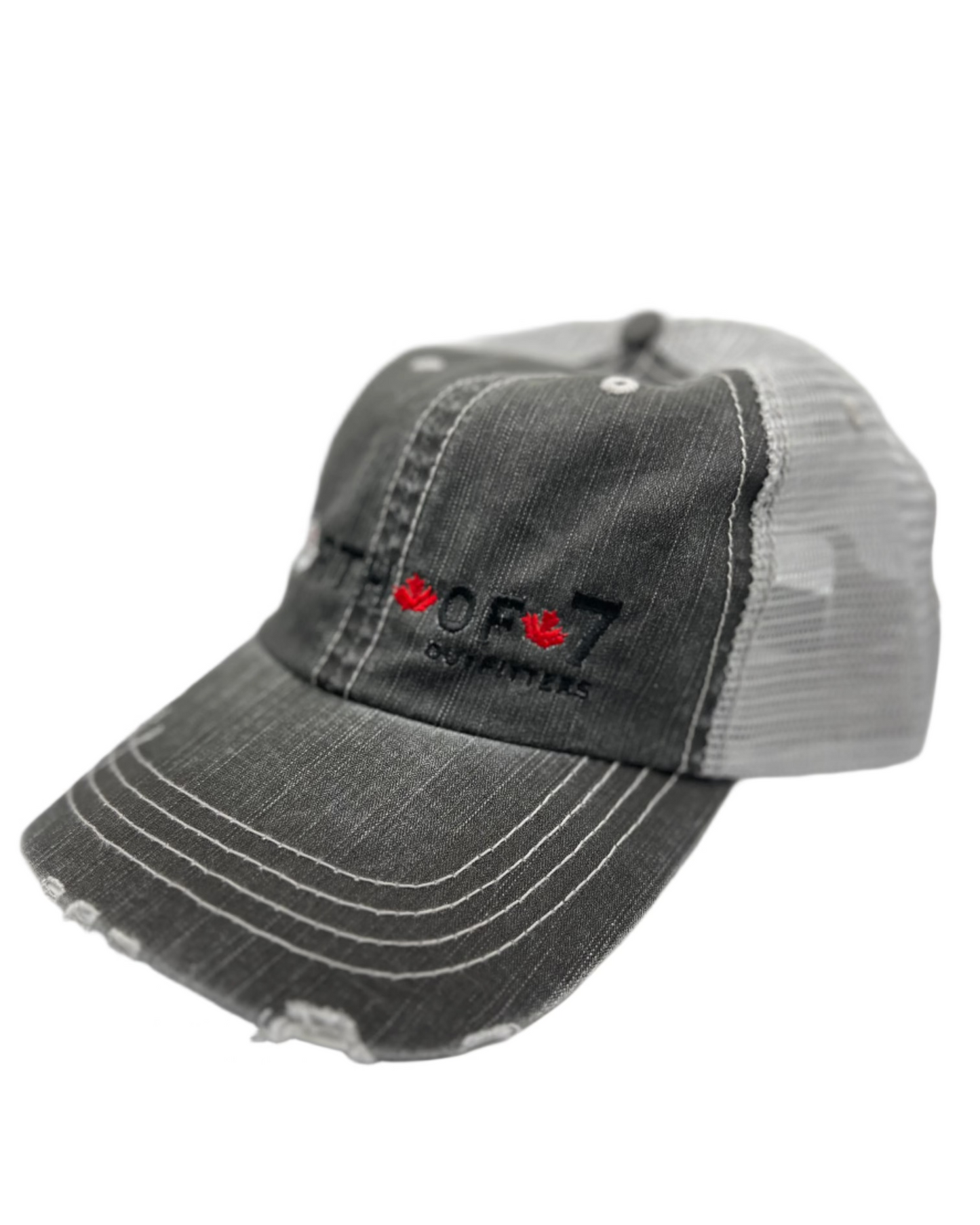 Distressed Dad Cap