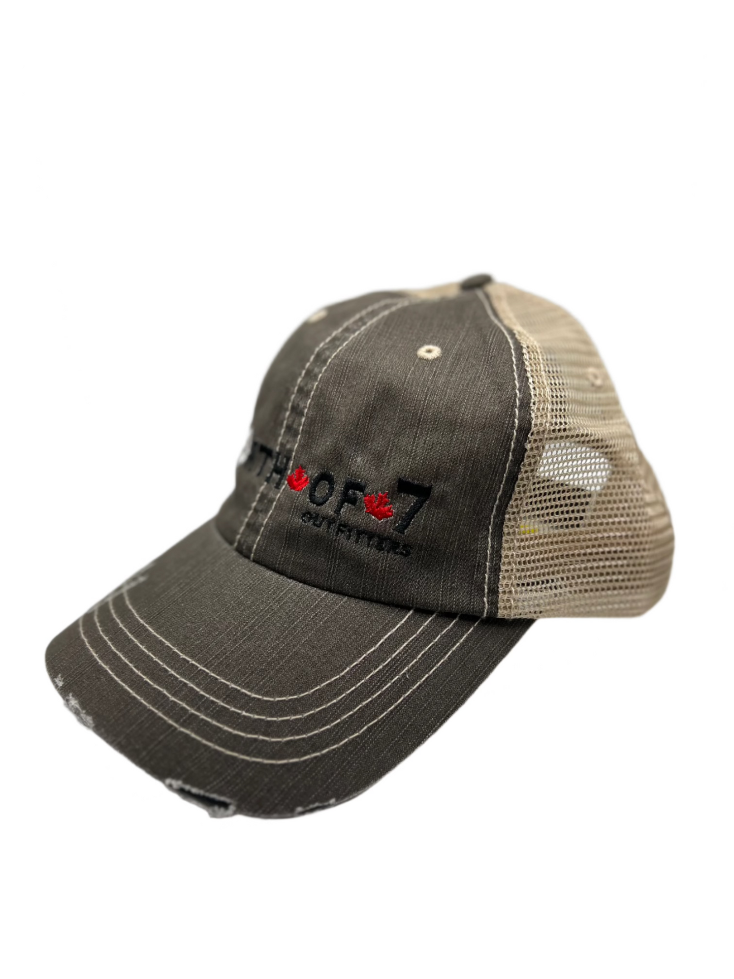 Distressed Dad Cap