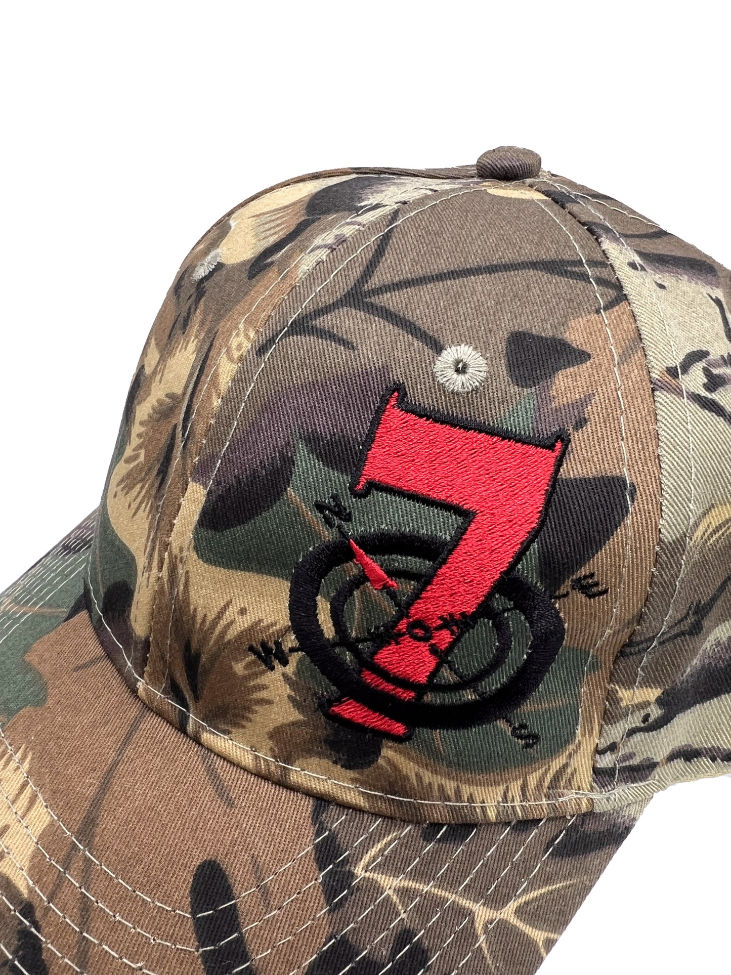 Compass/Target Dad Cap